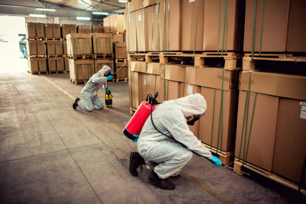 Best Local Pest Control Services  in Atoka, TN